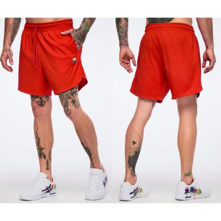 Pride Men's Woven Shorts